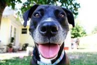 Фотография Хаскина Андрея