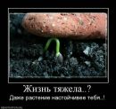 Андрій Яцкевич фотография #36 (источник - https://vk.com/id132424832)