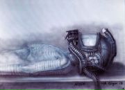 Фотография Глазова Олега