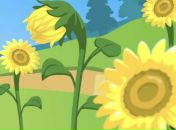 Максим Петін фотография #12 (источник - https://vk.com/id105129015)