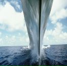 Фотография Боярищева Александра