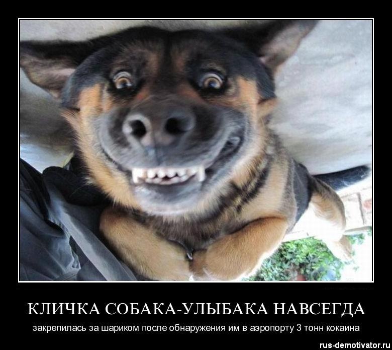 Женя Петрова фотография #13