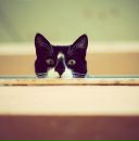 Фотография Грибовой Аленки