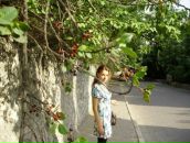 Фотография Ждановой Анастасии