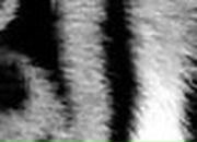 Ігор Абрамович фотография #22 (источник - https://vk.com/id85116655)