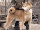 Вадім Гречко фотография #35 (источник - https://vk.com/id163011709)