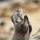 Фотография Ирининой Ирины