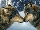Іван Десна фотография #39 (источник - https://vk.com/id156122516)