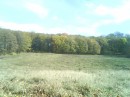 Танюфка Йолтухівська фотография #37 (источник - https://vk.com/id78222279)