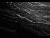 Bruce Raw фотография #21 (источник - https://vk.com/id629149)