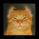 Фотография Сивицкой Марии