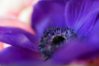 Галя Кальянова фотография #38 (источник - https://vk.com/id907502)