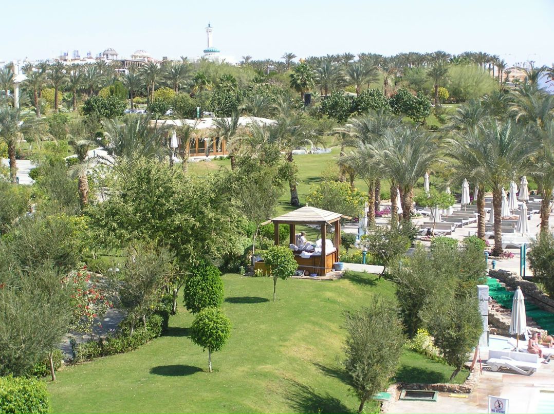 Виктор Бышкин фотография #29