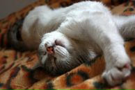 Фотография Малафеевой Татьяны