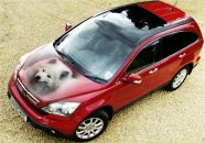 Ірина Спеціальна фотография #11 (источник - https://vk.com/id15724617)