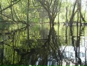 Фотография Труновой Татьяны