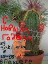 Фотография Судзумия Молли