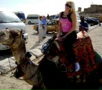 Фотография Shevchenko Olya