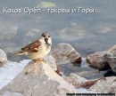 Андруся:)) Лозинська фотография #30 (источник - https://vk.com/id121655750)