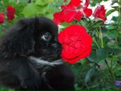 Фотография Захаровой Ирины