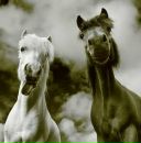 Фотография Лузановой Татьяны