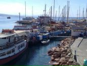 Юра Форошівський фотография #20 (источник - https://vk.com/id56768249)