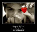 Дмитрий Вилков фотография #37 (источник - https://vk.com/id71097125)