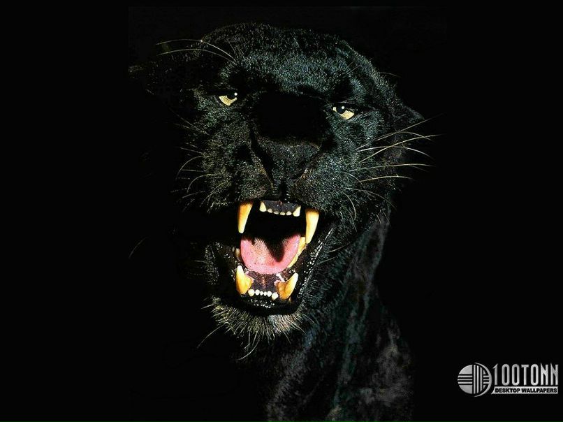 Константин Лукьянчук фотография #14