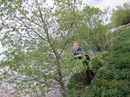 Вікусік Кукусік фотография #34 (источник - https://vk.com/id137133691)