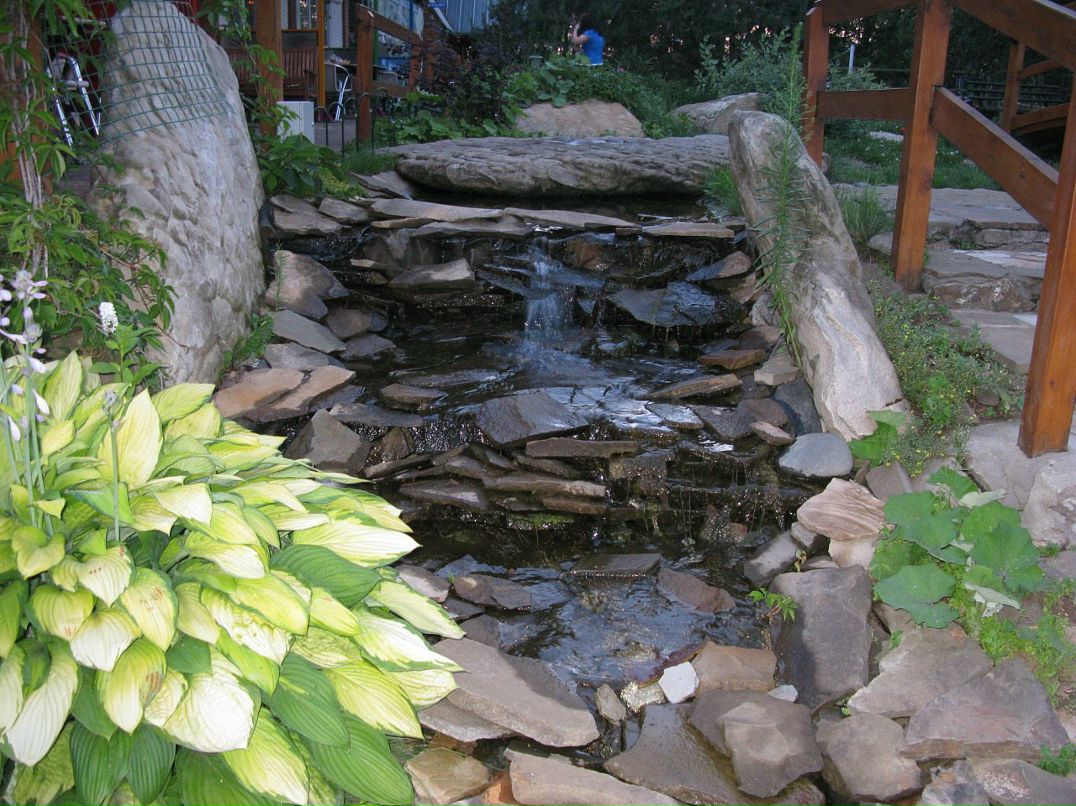 Дмитрий Ермилов фотография #42