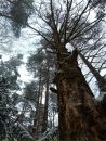 Александр Николаевич фотография #32 (источник - https://vk.com/id35628567)