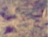 Ольга Кінахова фотография #39 (источник - https://vk.com/id70643773)