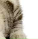 Марія Козак фотография #15 (источник - https://vk.com/id148871802)