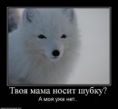 Аліна Цехмістер фотография #35 (источник - https://vk.com/id34642795)