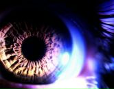 Фотография Павлова Павла