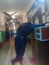 Паша Шибістий фотография #28 (источник - https://vk.com/id102361331)