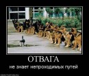 Ігор Meksilol фотография #9 (источник - https://vk.com/id67121156)