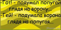Сніжанка Голованова фотография #7 (источник - https://vk.com/id138532038)