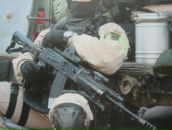 Фотография Лебедя Витали