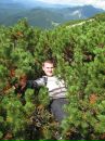 Іван Вовк фотография #32 (источник - https://vk.com/id21172544)