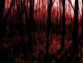 Фотография קולובקוב דימה