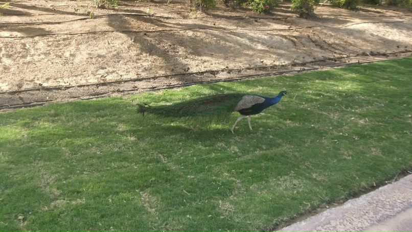 Андрей Сидоренко фотография #21