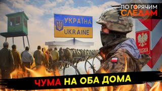 По горячим следам. Чума на оба дома